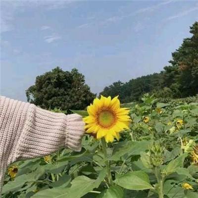 油价飙升，加利福尼亚州受冲击最为严重
